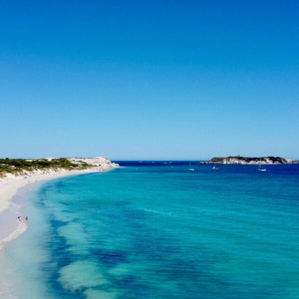 pexels-ross-ogston-16112042